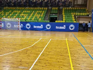 Municipal Sports and Recreation