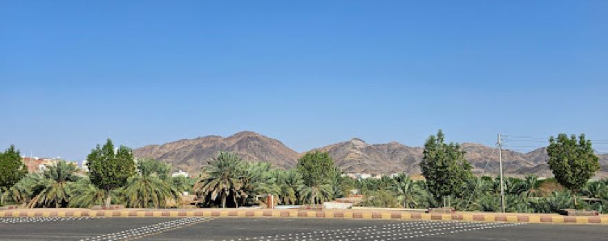 Badr Shohada Graveyard