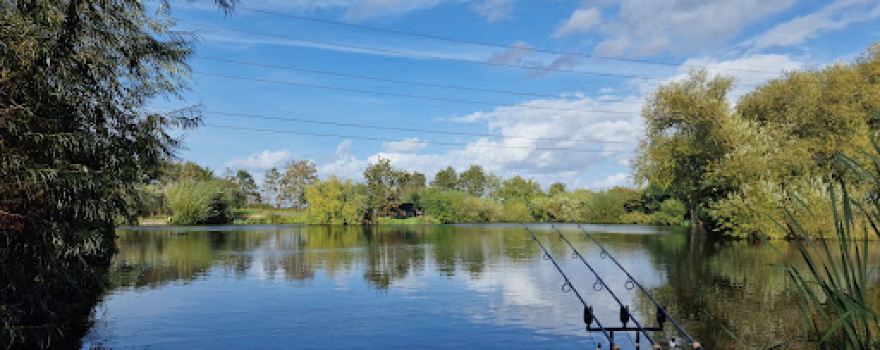 Weston Moat Fishery