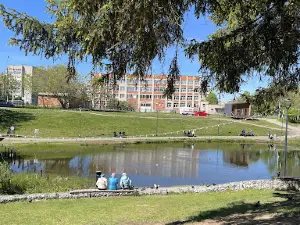 Park Oruzheynika Dragunova