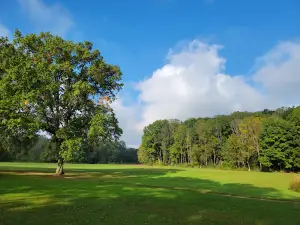 Firestone Metro Park-Tuscarawas Meadows Area