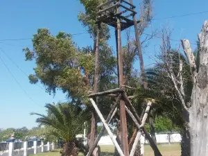 Plaza Almafuerte