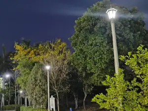 Buddha Park, Indra Nagar