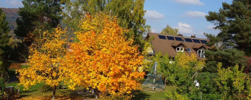 Spessart Camping Schönrain