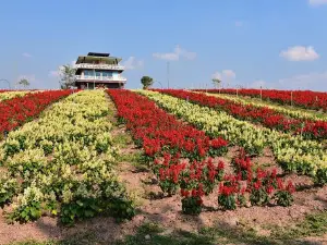Rai Saen Kham Rak