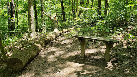 Tionesta Natural Area