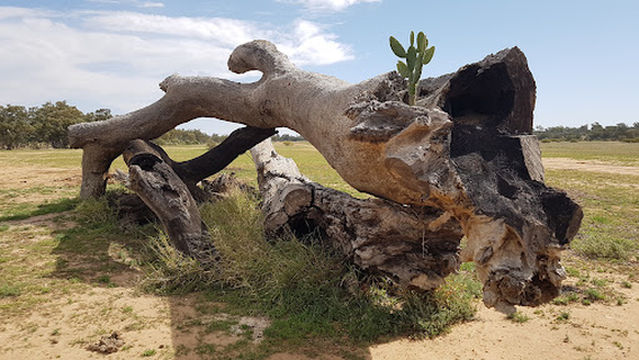 Stubby Bend Free Camping Area