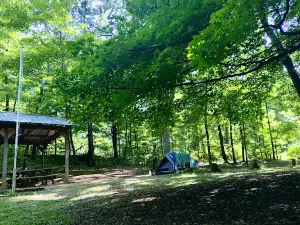 Camp Tuscazoar Foundation Inc