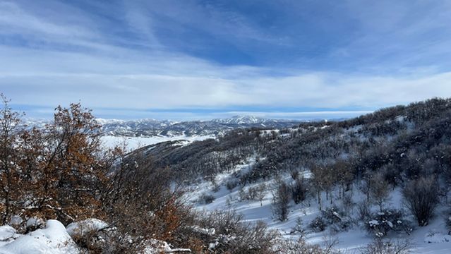 Saddleback Ranch - Horseback rides & Snowmobile Tours