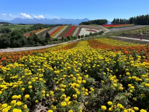 Farm Tomita