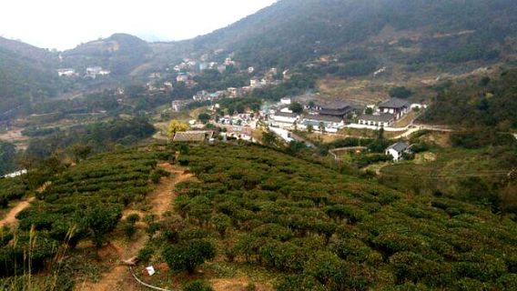 ying tian shou fo si