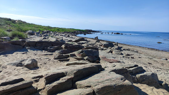 Skrea strand hundbad