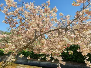 Popular Spring Outings in Randburg