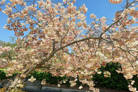 Johannesburg Botanical Gardens