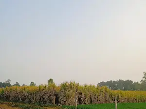 Masjid Unchey Gaon