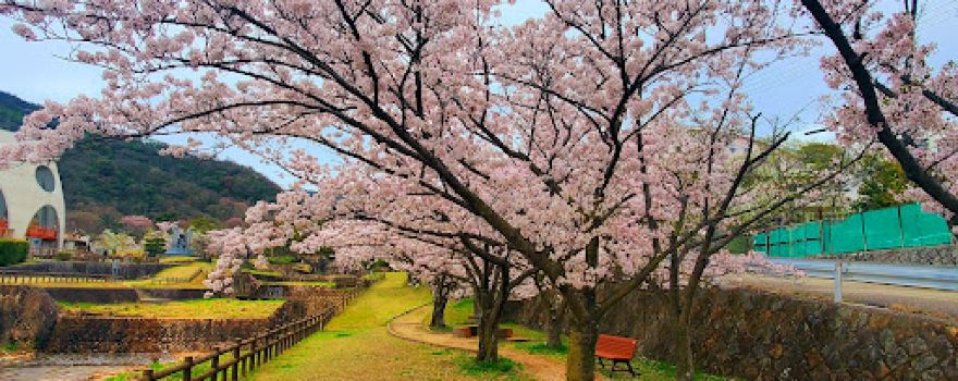 Yuzuriha Ryokuchi Park