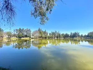 Laguna "Ojo De Agua"