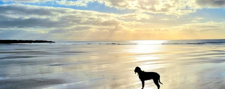 Sker Beach