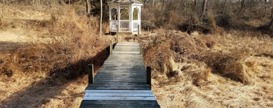 Natural Lands' Green Hills Preserve