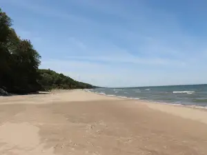 Roadside Park