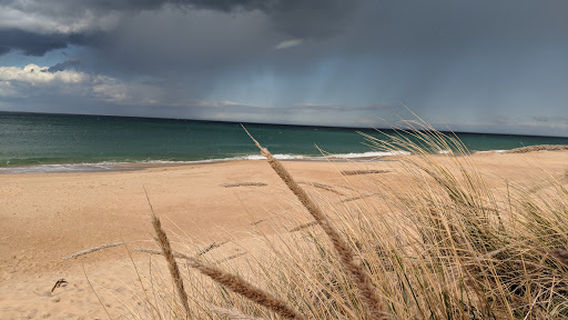 Golden Beach BBQ (Under Cover)