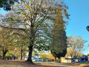 Hipólito Irigoyen Plaza