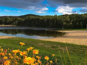 "SuliCamp"- kompleks wypoczynkowy w Sulistrowicach.