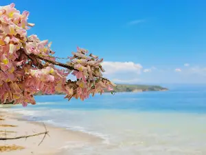 Playa Blanca
