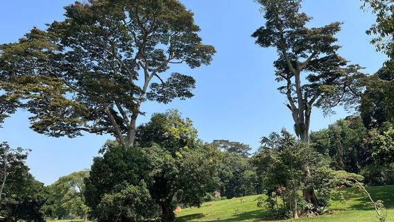 Entebbe Botanical Garden
