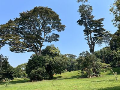 Entebbe Botanical Garden