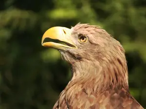 Liberec Zoo