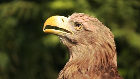 Liberec Zoo