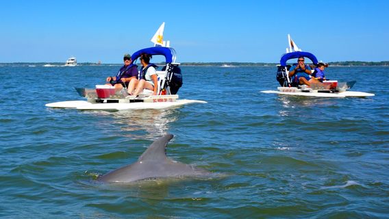 Lowcountry Watersports | Hilton Head Dolphin Tours, Boat Tours, & Jet Ski Rentals