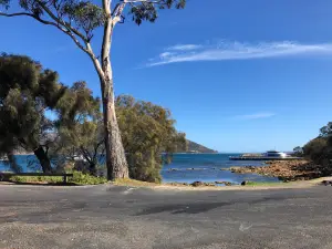 Coles Bay Jetty