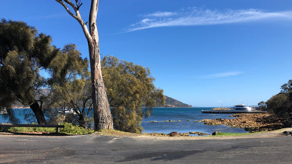 Coles Bay Jetty