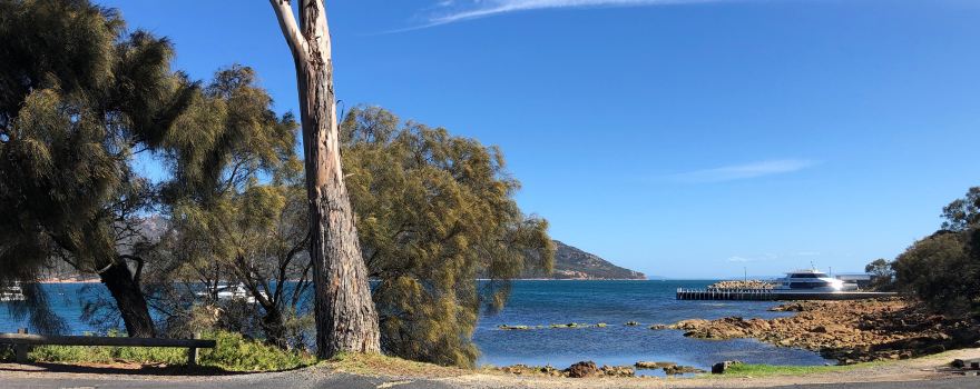 Coles Bay Jetty