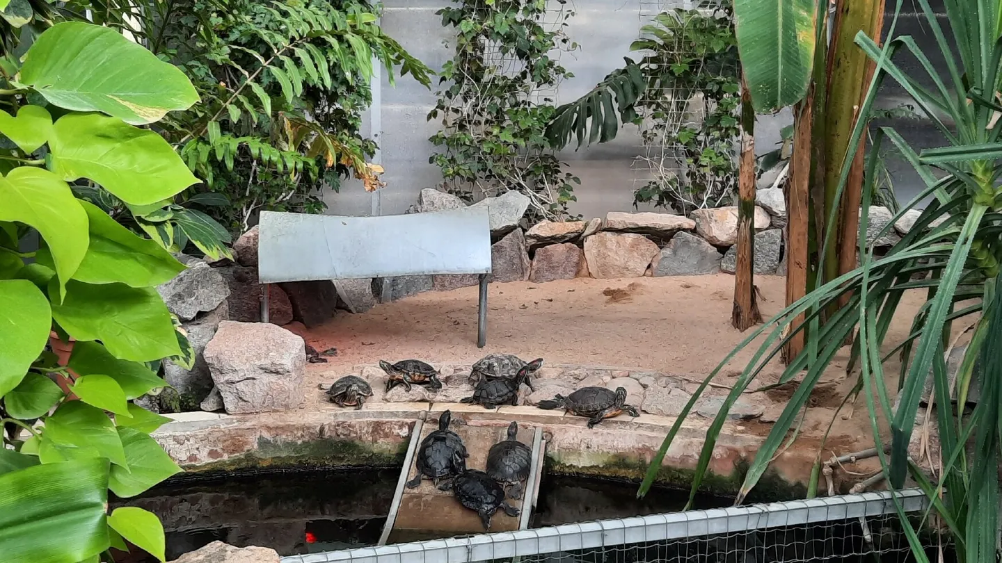 5_Botanical Garden of the University of Tartu