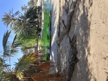 Djerba Midun