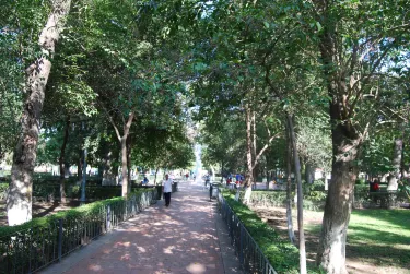 Saltillo