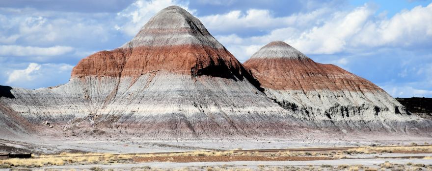 Petrified Forest National Park