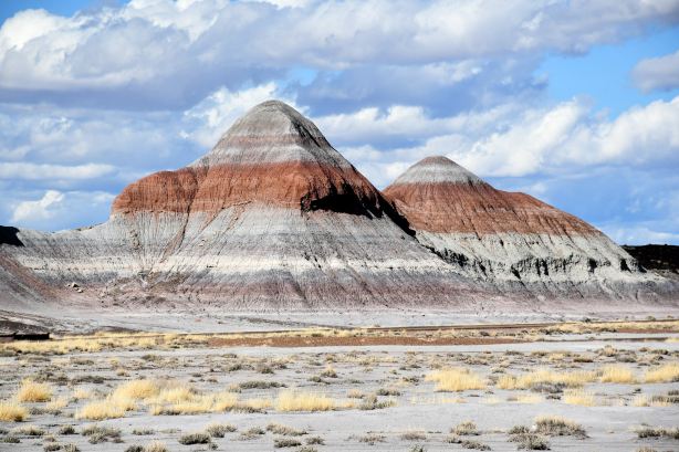 Petrified Forest National Park