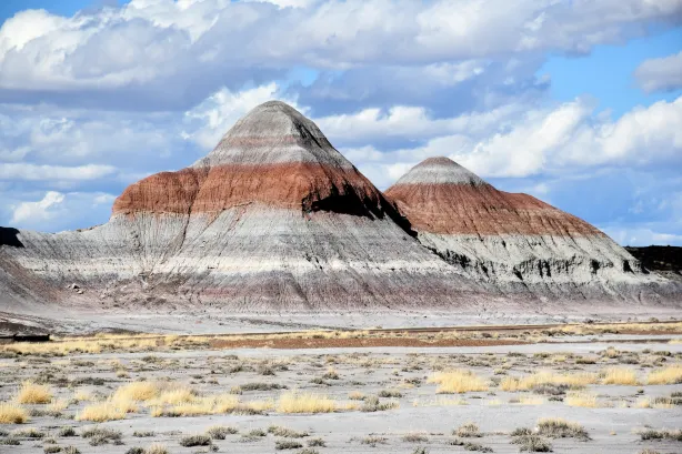 Petrified Forest National Park
