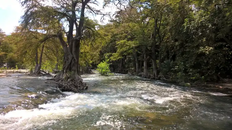 Hotel dekat Guadalupe River