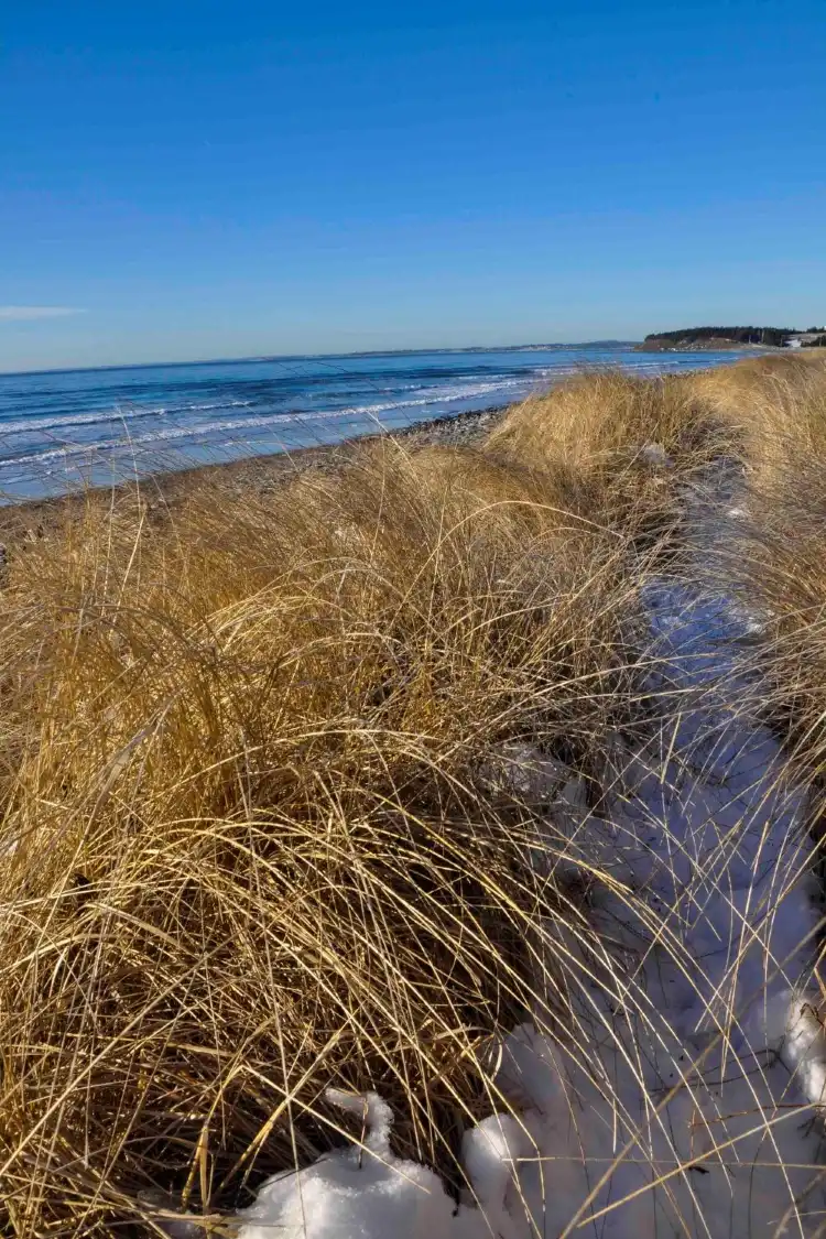 Hotels in East Lawrencetown