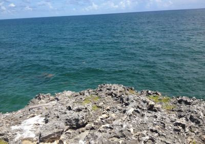 Morgan's Bluff