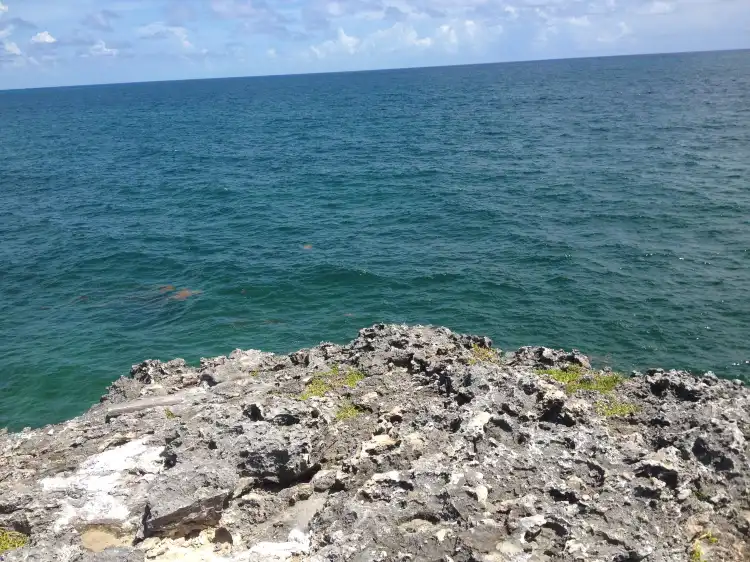 Hotels near Chub Cay