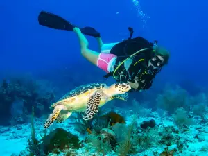 Reef Divers Cayman Islands