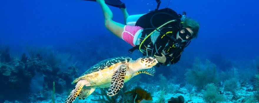 Reef Divers Cayman Islands
