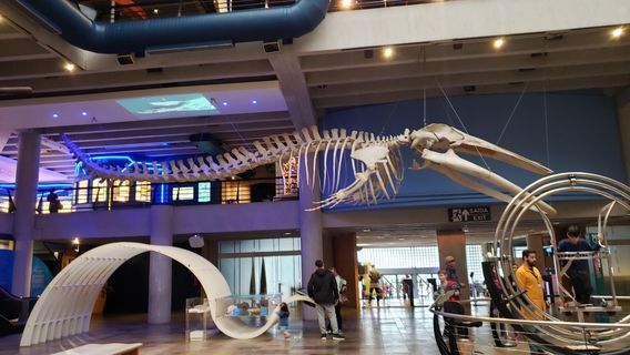 Science and Technology Museum