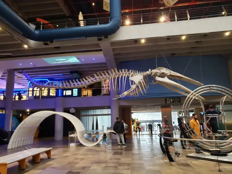 Hotels near Science and Technology Museum